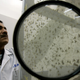 Image: AP